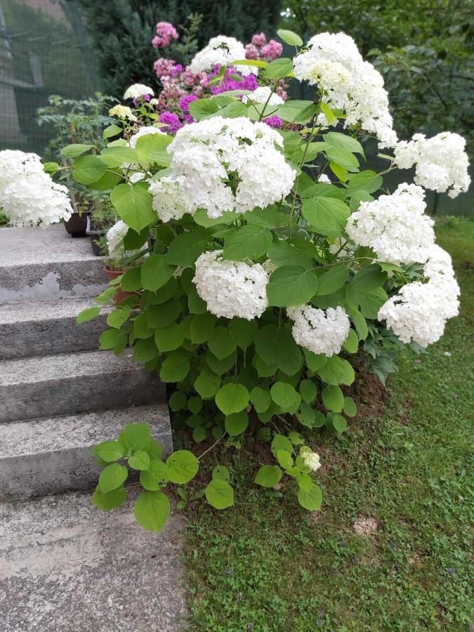 Bella Villa *